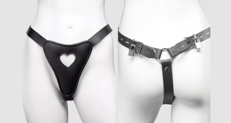 DOMINIX Deluxe Leather Lockable Female Chastity Belt 2
